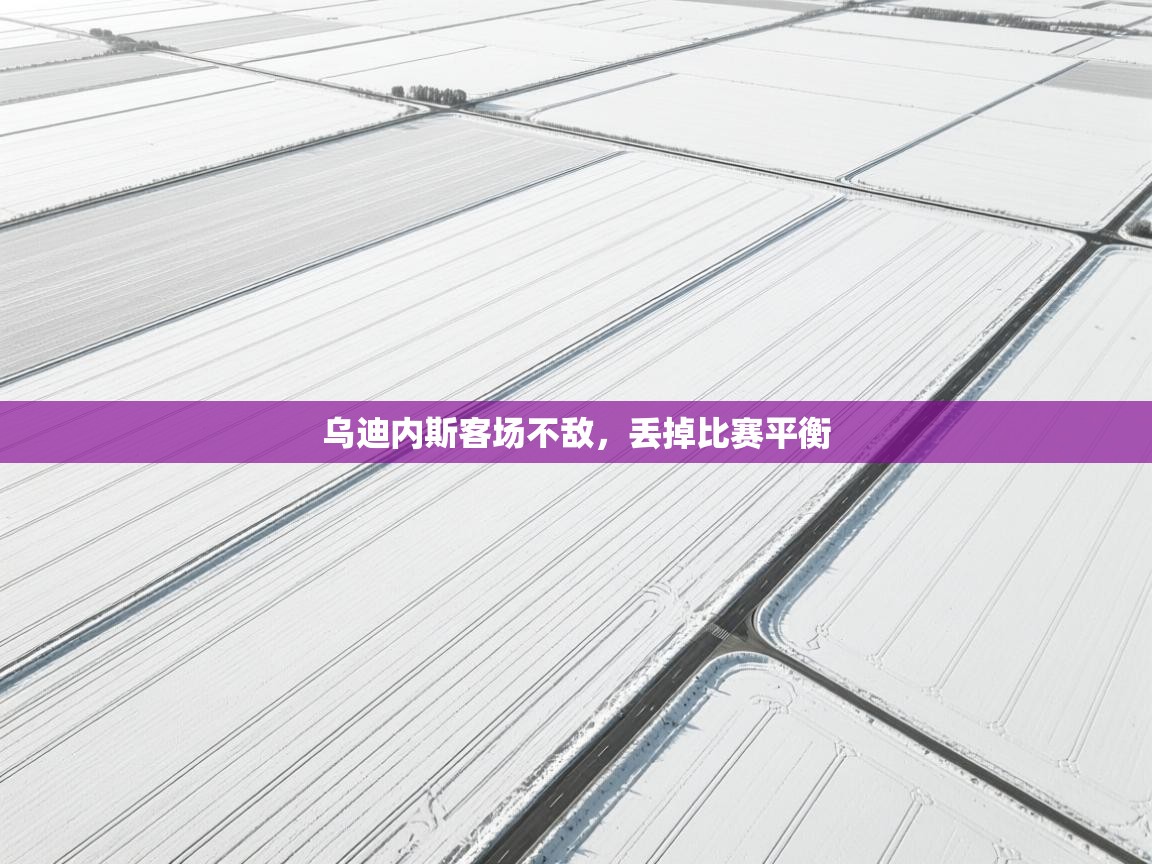 乌迪内斯客场不敌，丢掉比赛平衡  第2张