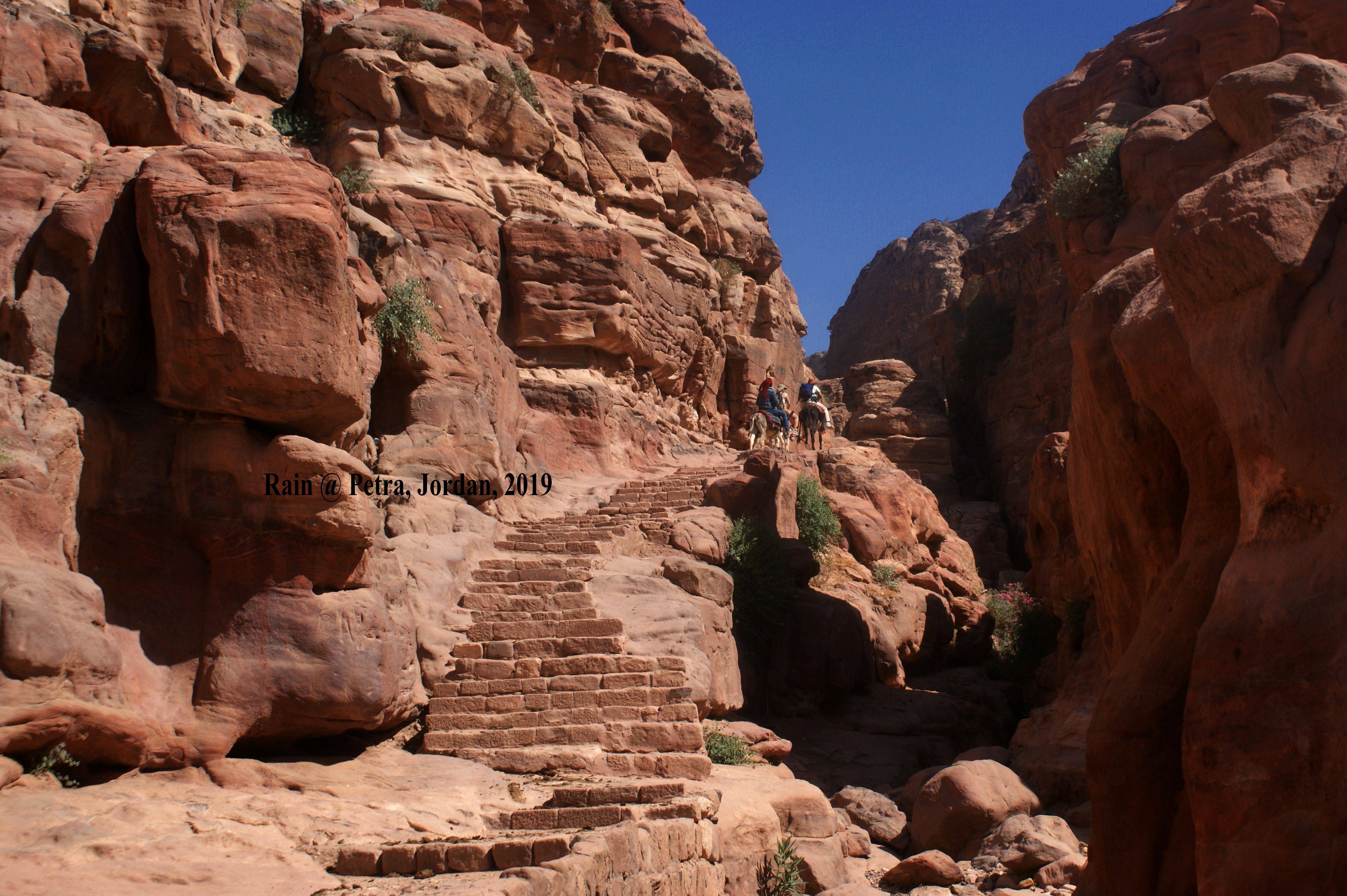 九游体育官网-约旦队争夺荣誉，捍卫中东足球魂