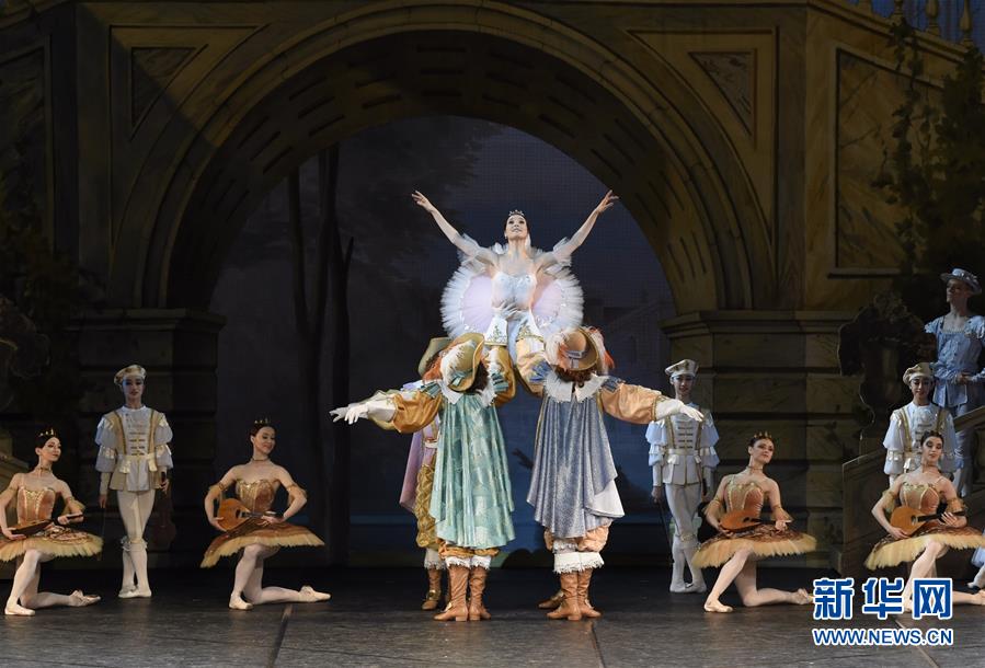 立陶宛代表团团结一心迎接挑战的简单介绍