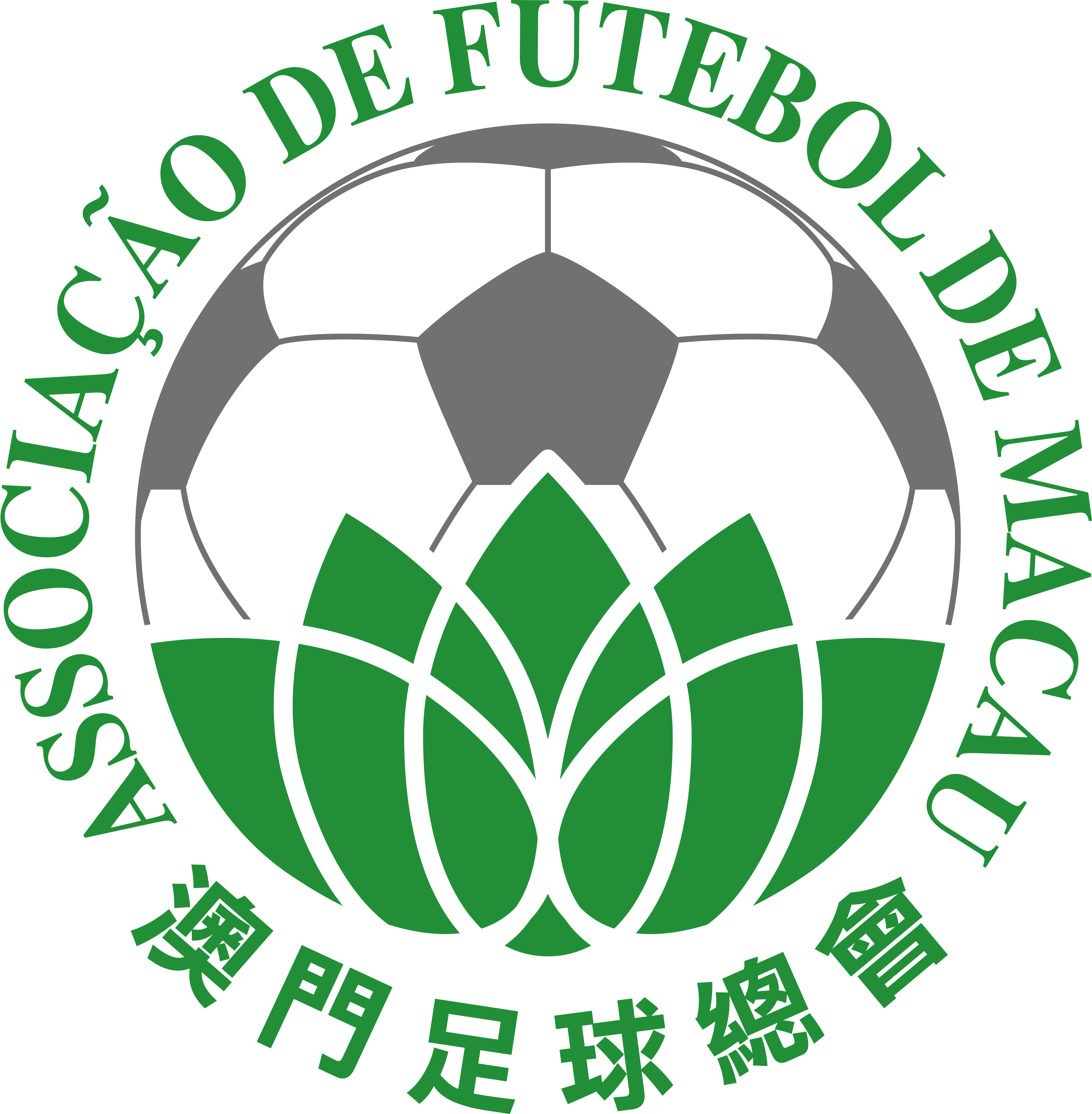 九游体育官方登录入口-澳门球迷为自己的球队加油助威，希望他们取得胜利的简单介绍