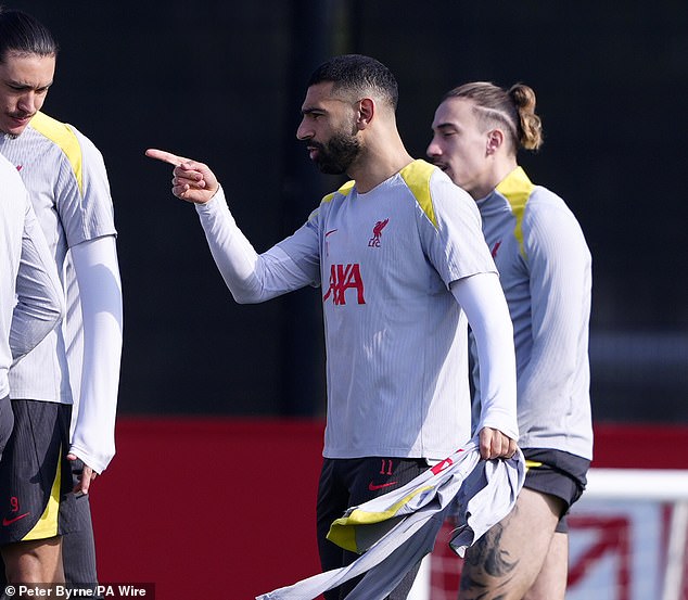 包含欧洲球队准备征战国际舞台，备战工作进行中的词条