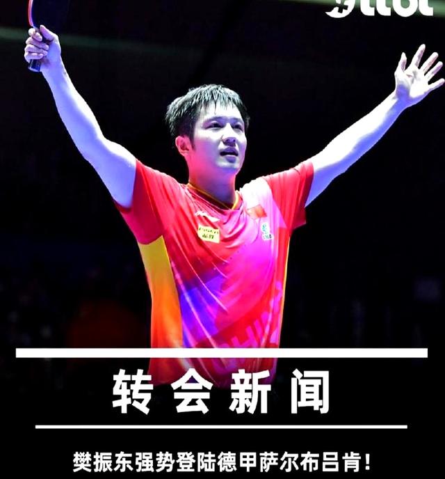 球队老将表现出色，引发球迷赞扬