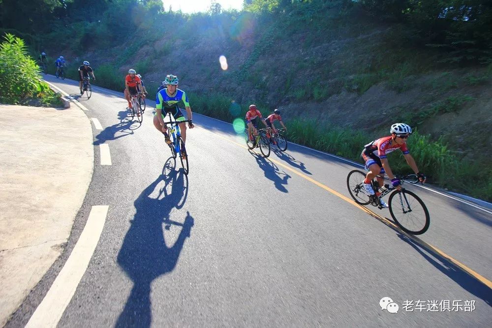 南亚金牌收获满满，体育赛场风采十足